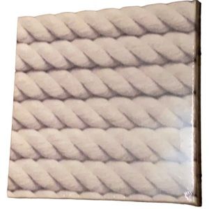 NWT Rope Print Canvas
